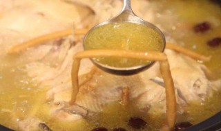 花胶煲鸡汤放什么药材 花胶煲鸡汤放什么药材海底椰的作用和功效