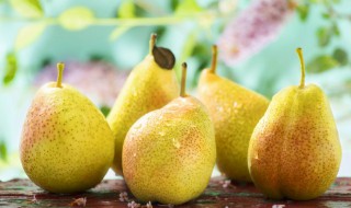 梨和葡萄可以一起吃吗 梨和葡萄可以一起吃吗