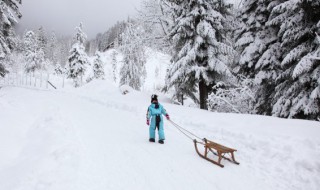 冬天下雪谚语 冬天下大雪的谚语