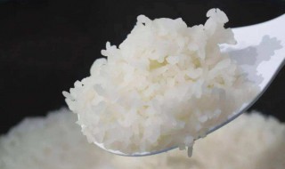 竹香米怎么煮米饭 竹香米怎么煮米饭窍门