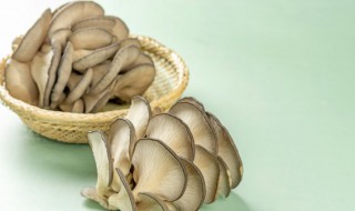 菌菇素炒的家常做法 菌菇素菜做法