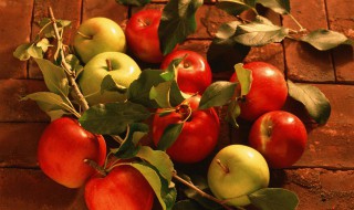 苹果属于碱性食物还是酸性食物（苹果属于碱性食物还是酸性食物?）