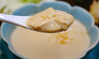 姜汁撞奶的家常做法 姜汁撞奶的简单做法