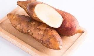 雪莲果怎么保存不发芽 雪莲果怎样保存不烂