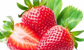 草莓的种植方法和注意事项（草莓无土栽培技术）
