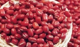 红豆红小豆和赤小豆有什么区别 红豆与赤小豆有何区别