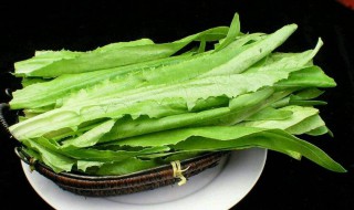 油麦菜是什么菜（油麦菜是什么菜的亲戚）