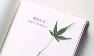 活成自己喜欢的样子经典语录（努力活成自己喜欢的样子经典语录）