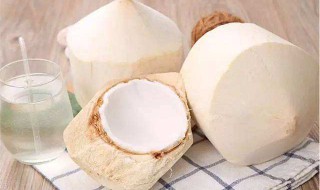 椰青的功效与作用（椰青的功效与作用及营养价值）