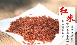 红米的营养价值及功效 元阳红米的营养价值及功效
