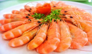 明虾的营养价值及功效 明虾是海虾还是淡水虾