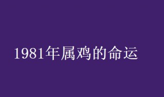 1981年属鸡的是什么命（1981年属鸡的是什么命缺什么）