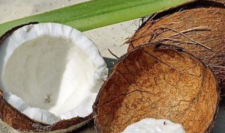 椰子的营养价值及功效（椰子的营养价值及功效 食用方法）