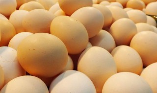 鸡蛋营养价值及功效 鸡蛋营养价值及功效与作用