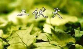 什么时间入伏 什么时间入伏第一天