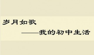 我的初中生活作文600字（我的初中生活作文600字初二）