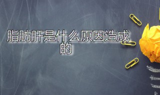 脂肪肝是什么原因造成的 中度脂肪肝是什么原因造成的