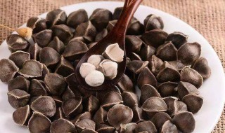 辣木籽的食用方法大全（辣木籽的食用方法大全视频）