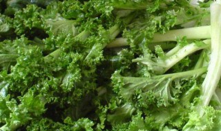 苔菜的不同做法 苔菜的做法有哪些