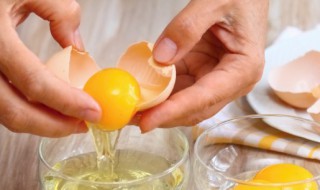 日本无菌鸡蛋怎么生产 日本的无菌鸡蛋