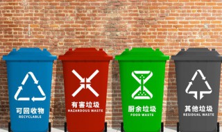 垃圾分为哪四大类 垃圾分为哪四大类并举例说明