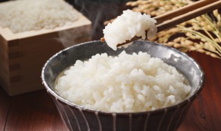蒸米饭更香更营养的四个技巧 蒸米饭怎么更好吃
