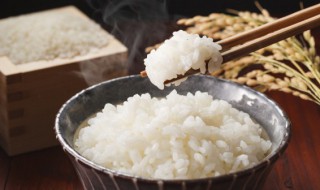 保存剩米饭的最佳方法是冷冻（剩米饭放在冷冻怎么快速解冻）