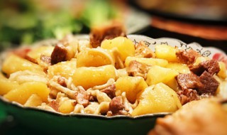 土豆炖鸭肉怎么做好吃 土豆炖鸭肉怎么做好吃家常做法