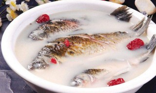 清炖鲫鱼怎么做（清炖鲫鱼怎么做好吃又简单方便）