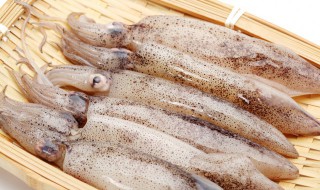 新鲜鱿鱼怎么炒好吃（新鲜鱿鱼怎么炒好吃 家常做法）