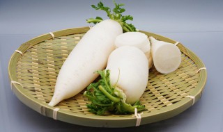 萝卜储存长久的方法（萝卜储存长久的方法是什么）
