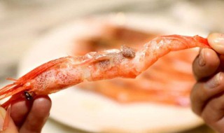 牡丹虾的籽能吃吗 牡丹虾虾籽能吃吗