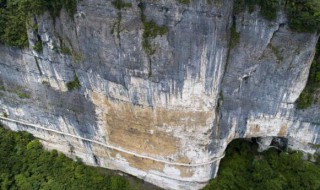 金佛山海拔多少米（金佛山海拔多少米高度最高）