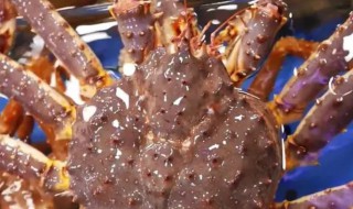 帝王蟹为什么不是真正的螃蟹（帝王蟹为什么只吃腿不吃蟹身呢）
