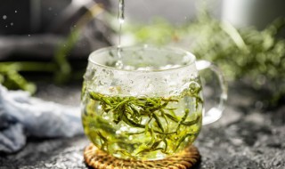 绿茶都有哪些种类 绿茶都有哪些种类味道