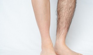 一个人一般有多少腿毛 一个人有多少根腿毛