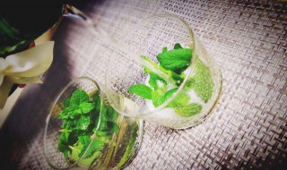 mojito怎么调（mojito怎么调才能好喝）