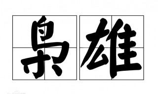 一代枭雄什么意思 叱咤风云,一代枭雄什么意思