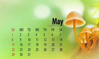 5月9日是什么日子（2021年5月9日是什么日子）