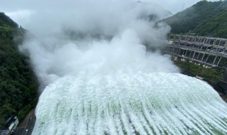 九孔泄洪意味着什么 九孔泄洪什么意思