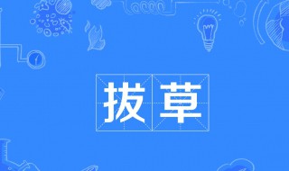 拔草是什么意思 种草和拔草是什么意思