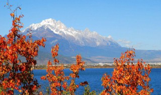 丽江旅游什么季节好（丽江旅游什么季节好一点）