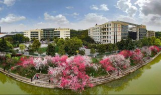 三峡大学怎么样（三峡大学怎么样张雪峰）