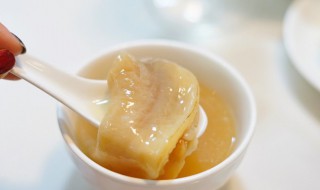 鱼胶炖牛奶（鱼胶炖牛奶的正确步骤）