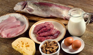 十大高蛋白食物排行（十大高蛋白食物排行榜蚕蛹）