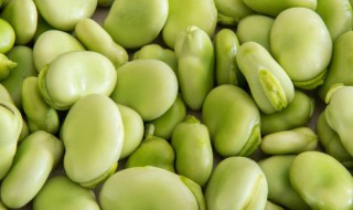 新鲜蚕豆的功效与作用 新鲜蚕豆的功效与作用禁忌是什么