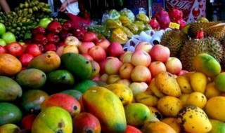 三亚热带水果 三亚热带水果园