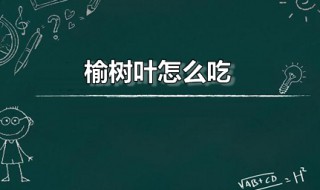 榆树叶怎么吃（榆树叶怎么吃好吃又简单）