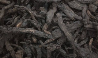 肉苁蓉哪些人不能吃 肉苁蓉什么体质不能吃