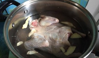 鸽子整个炖还是切开炖好 鸽子整个炖好还是切块